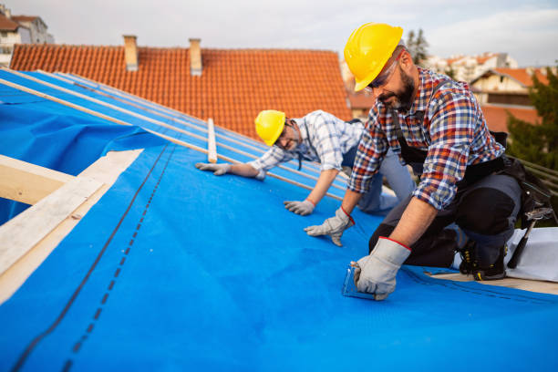 Best Rubber Roofing (EPDM, TPO)  in Lineville, AL