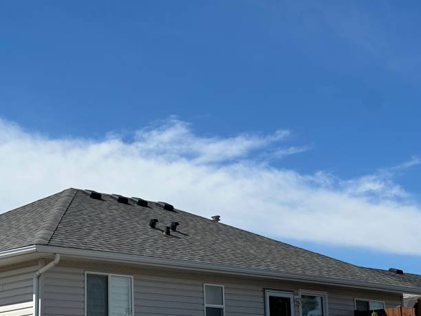 Best Storm Damage Roof Repair  in Lineville, AL